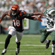 Darrelle Revis Got Beaten